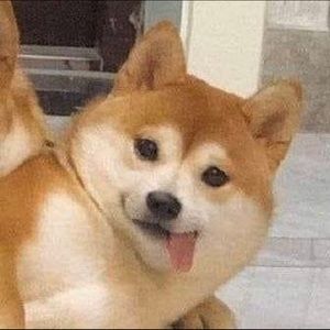 Meet your Posher, Corina